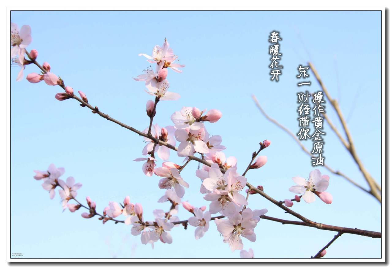 东一财经：2.17春暖花开原油驻底成功布局中线！黄金操作建议
