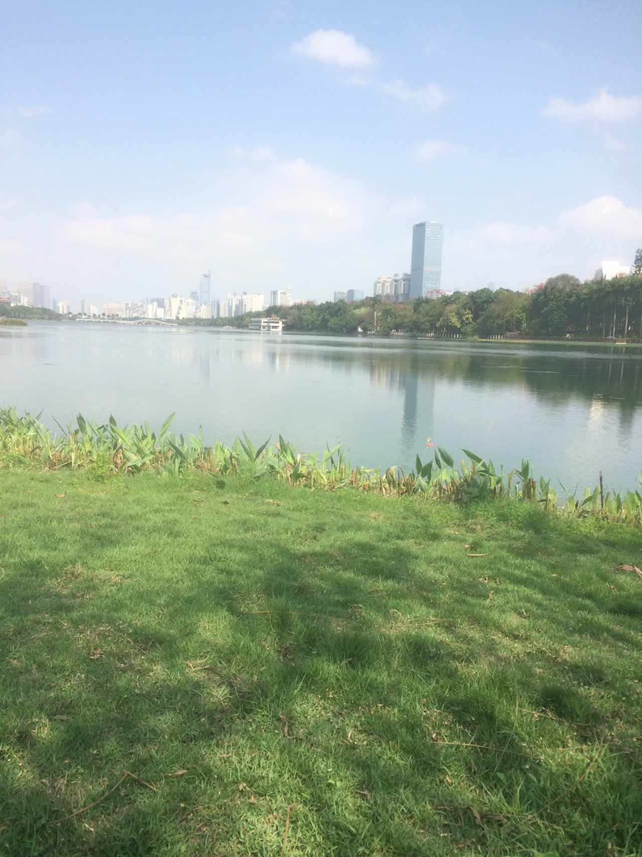 feed image