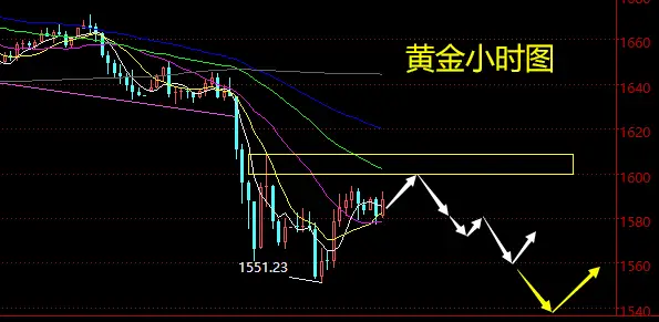 老黑策略：3.12晚盘黄金分析策略