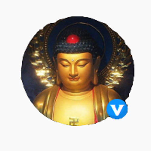 一个来自社区网红“三毛”的自省:怎么从天天爆仓做到稳定盈利!?(建议收藏)