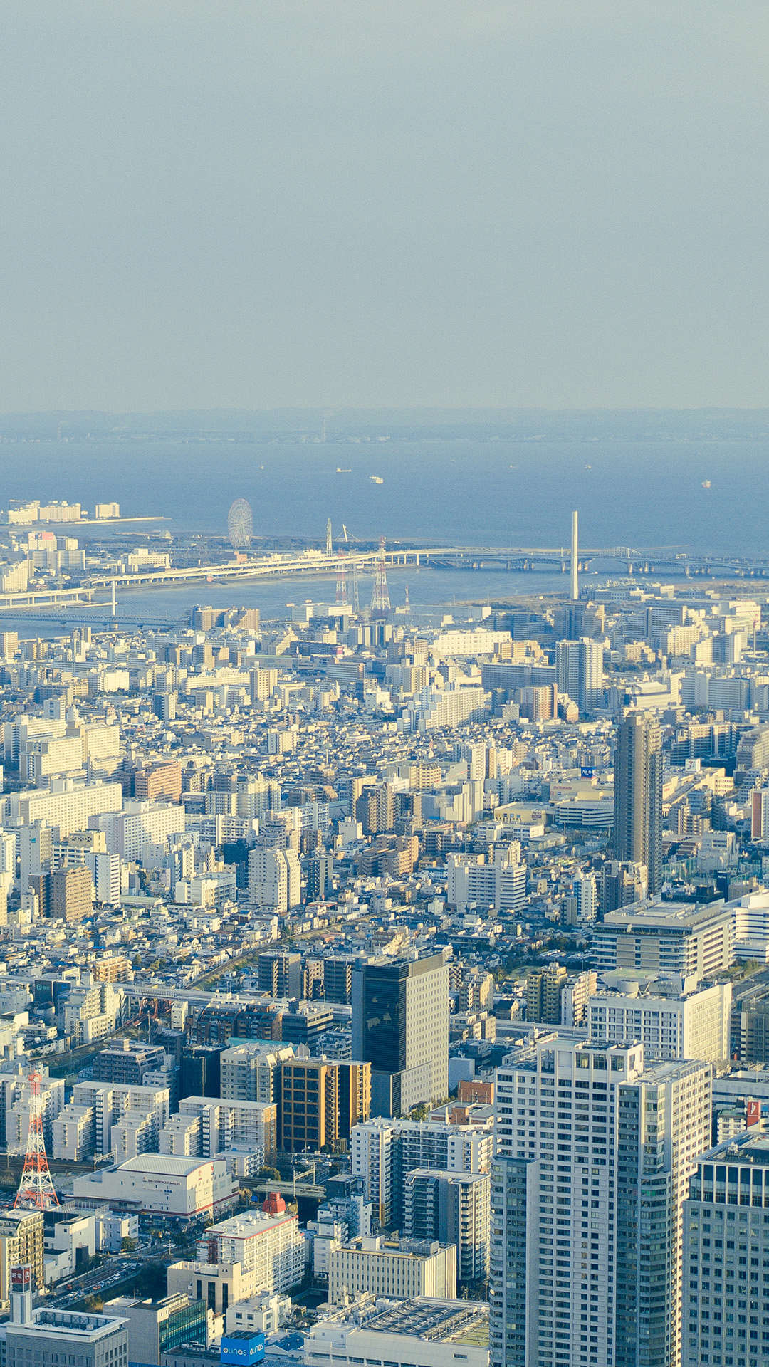 2020年3月17日美国开市前，每天技术分析