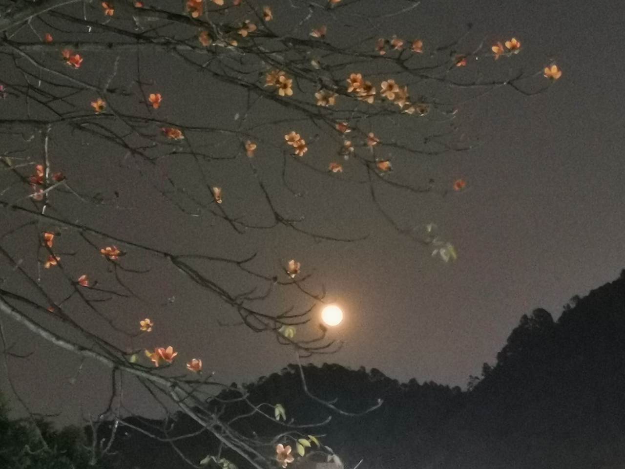 feed image
