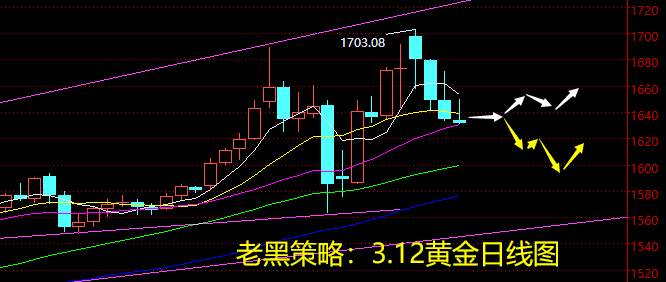 老黑策略：3.12黄金分析策略