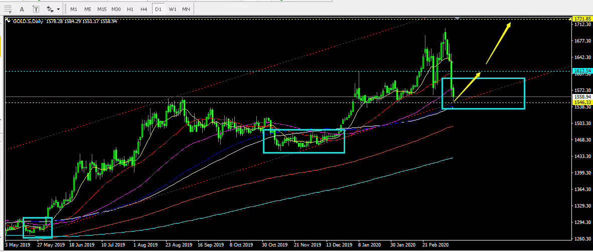 feed-image-0