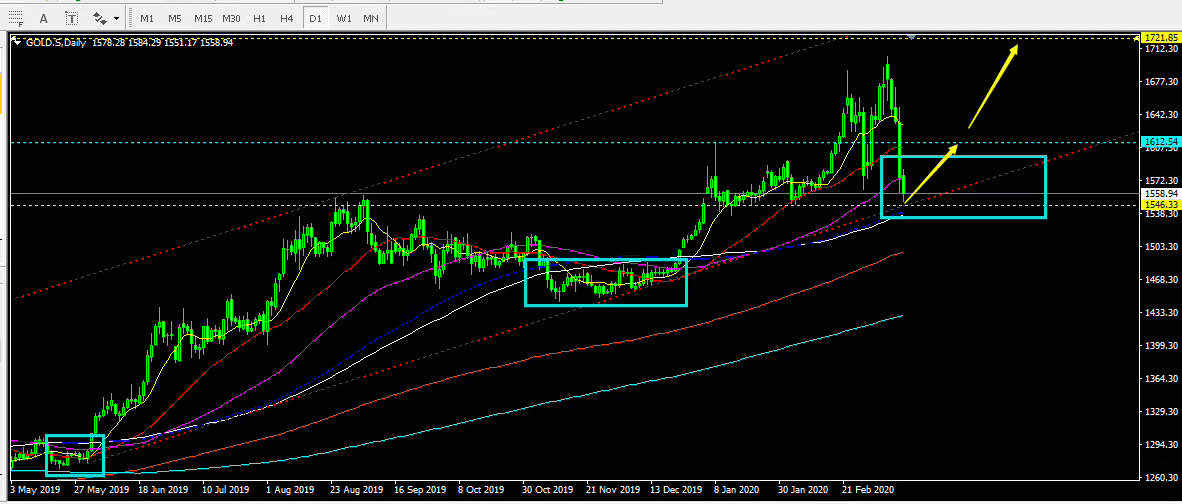 黄金 反弹 大跌 弱势 向下 下行