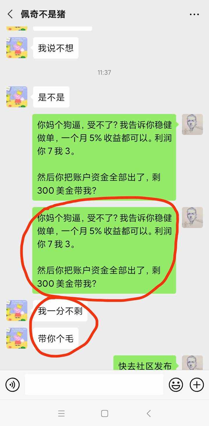 侦查员 佩奇 截图 承担风险 经纪商 骗子