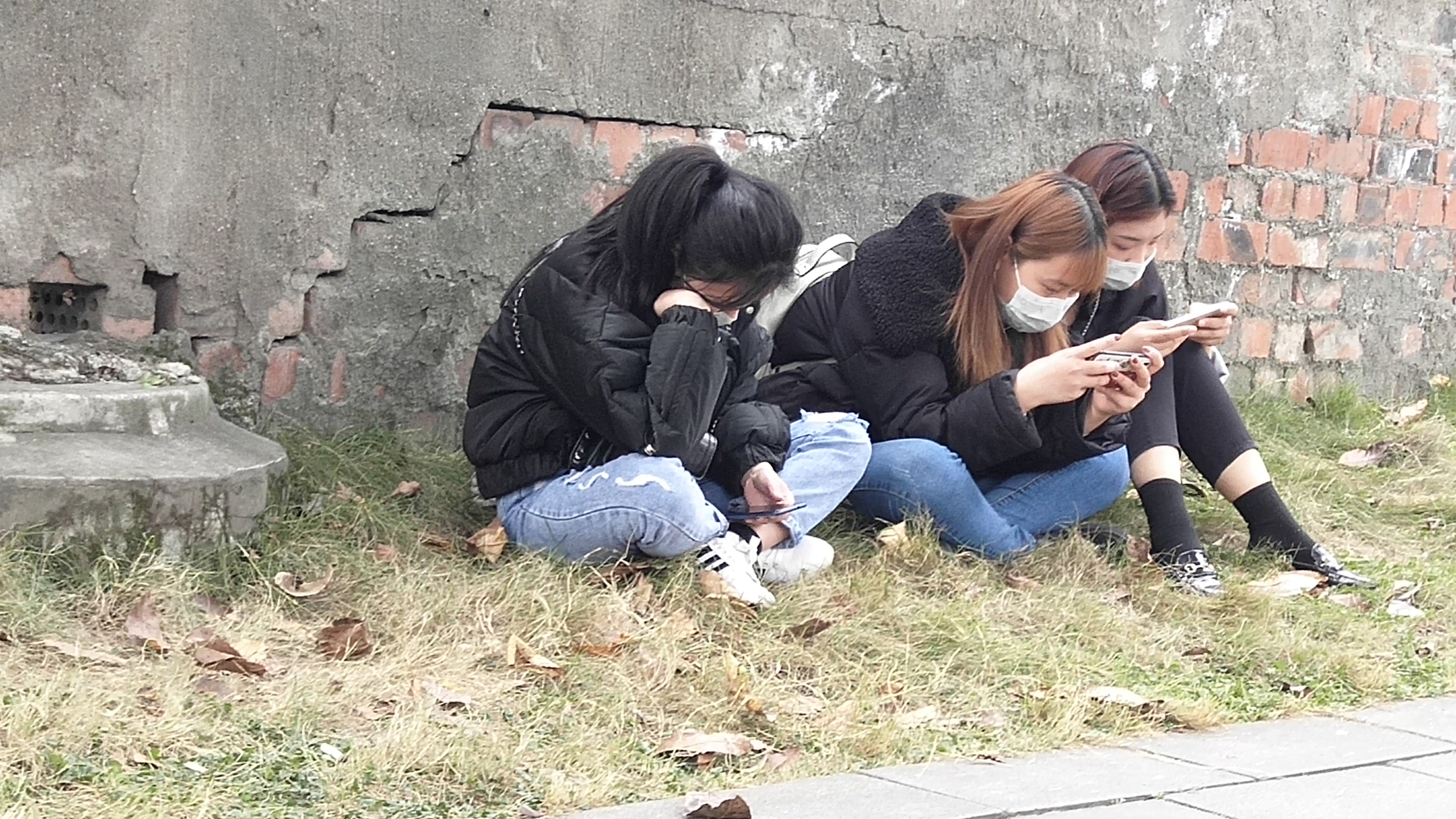 feed-image-0
