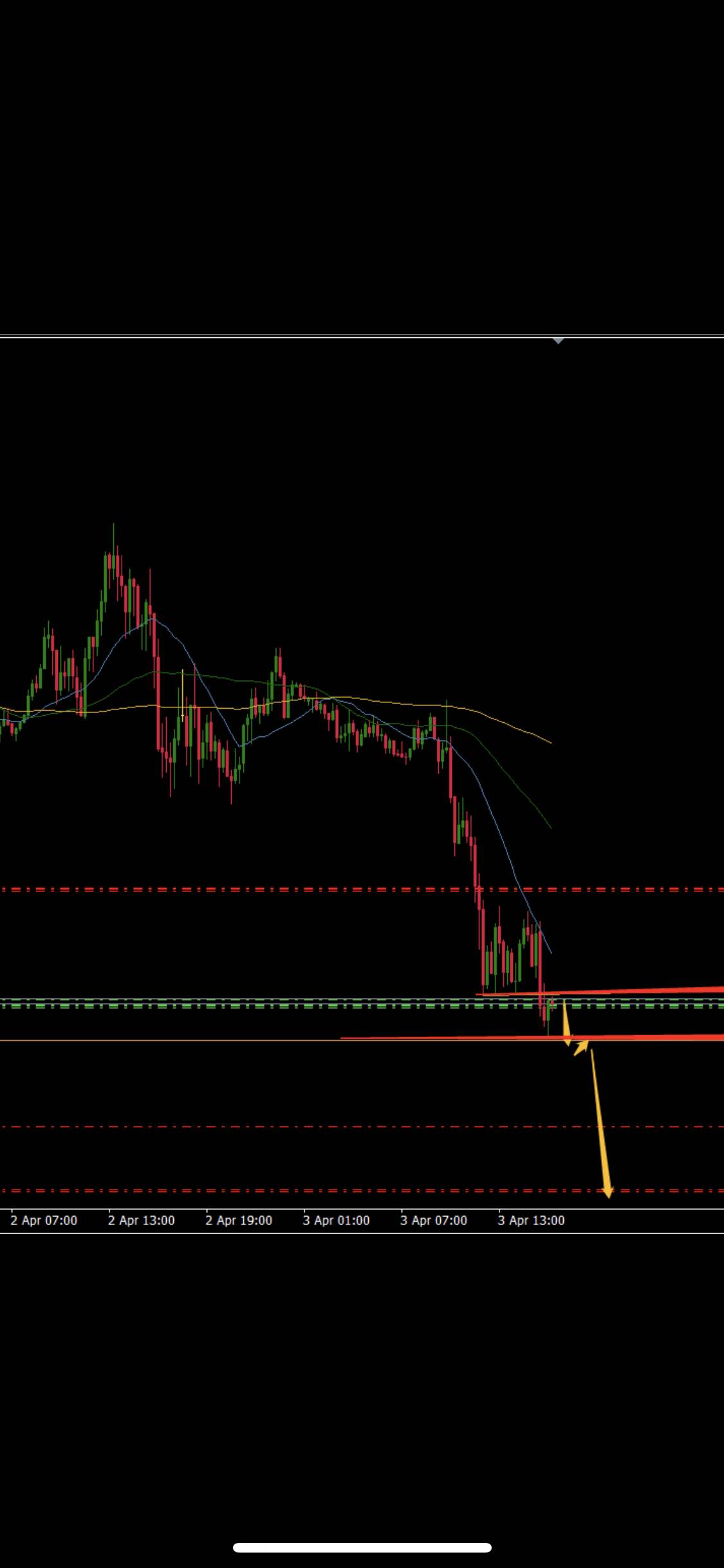 feed-image-0