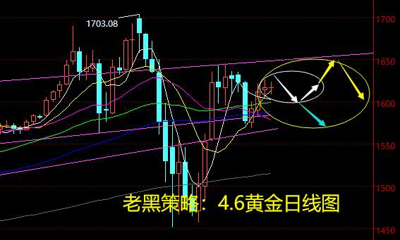 老黑策略：4.6黄金分析策略