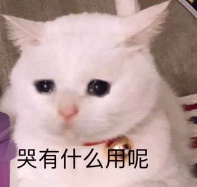 4.4号周总结