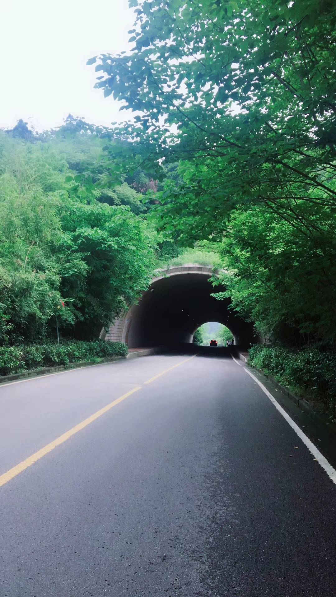 交易心经（不白）