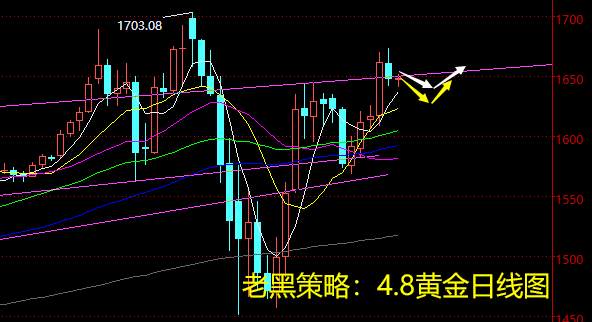 老黑策略：4.8黄金分析策略