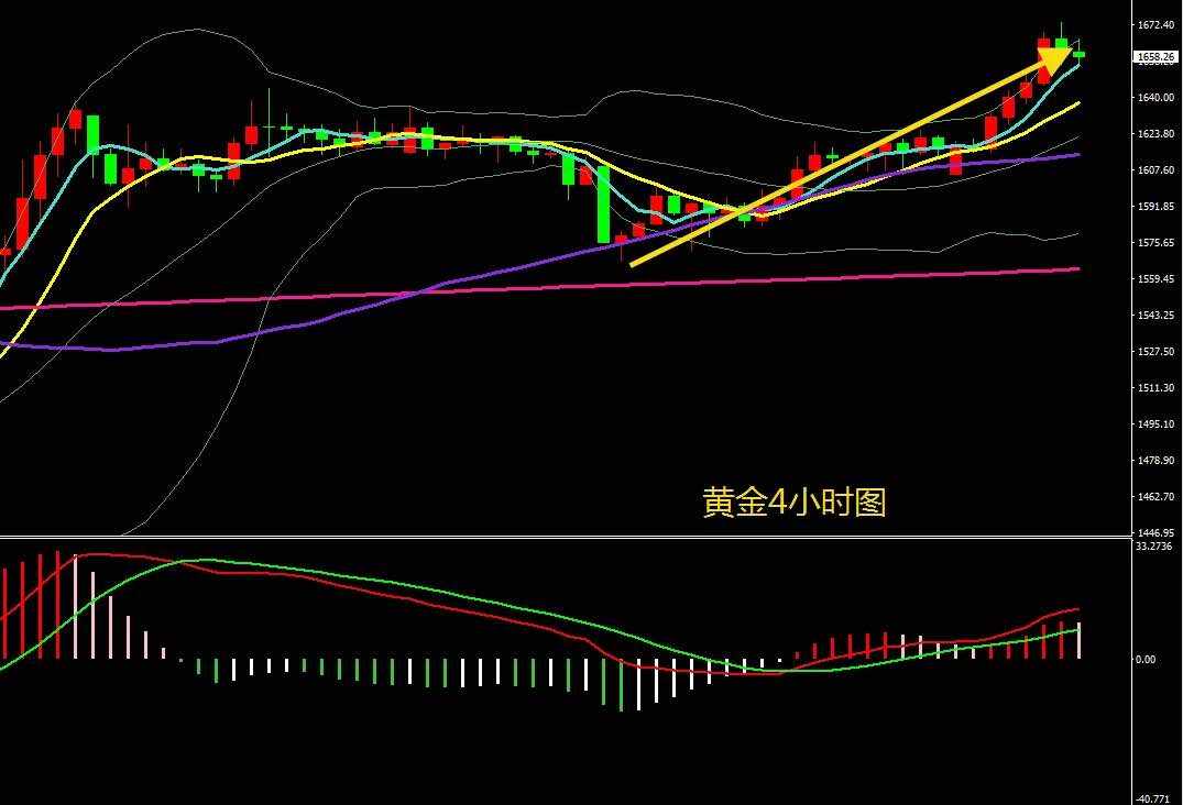 美金 不破 止损 黄金 回调 反弹