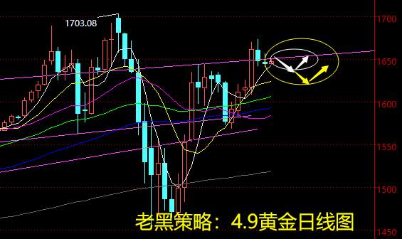 老黑策略：4.9黄金分析策略