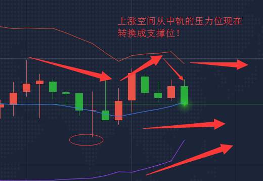 魏亮宸：5.6现货黄金晚间走势分析！黄金操作策略建议！