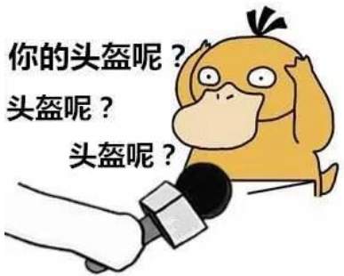 不是所有风口都能让猪上天，是时候用黄金收割市场了！