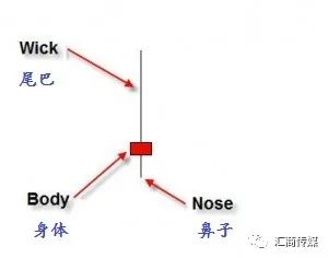 交易必读丨“傻瓜式”价格行为指南