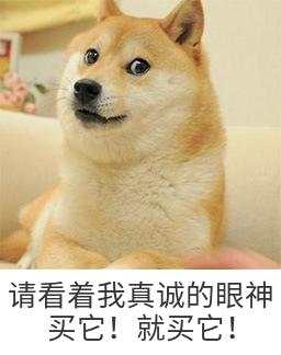 【新品上架】夏日特集推荐~~