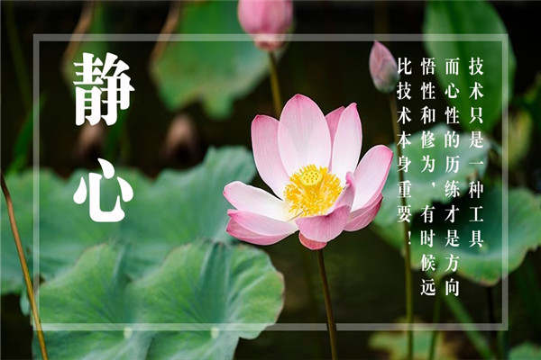 魏亮宸：5.15单子被套,该怎么解？现货黄金解套方法及回本计划！