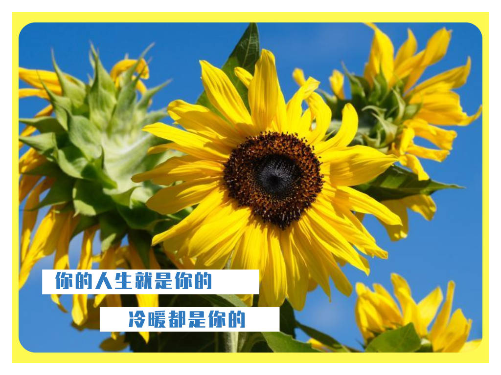 李瑜菲：解锁解套之屡试不爽