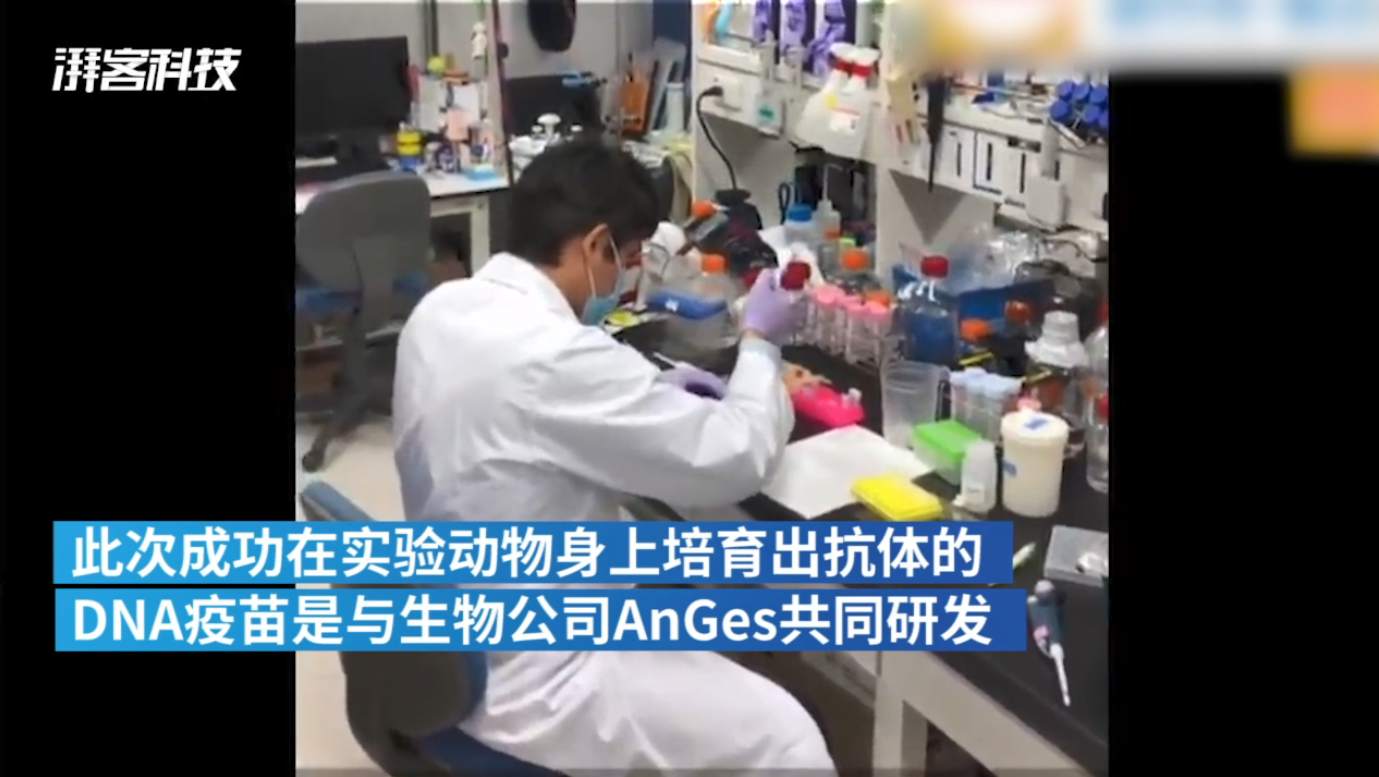 市场风向在利好，金市的噩梦不远了。