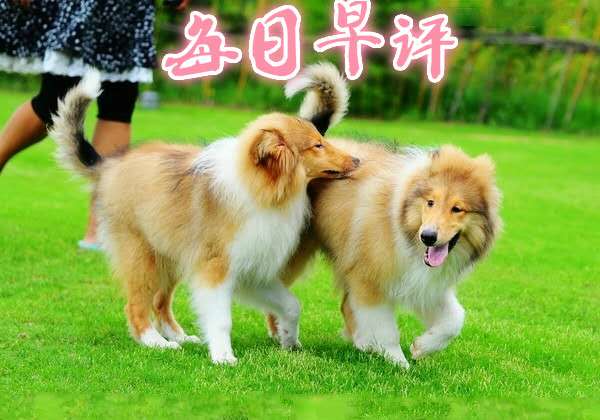恒指李阳，恒指5.19日预测及操作建议