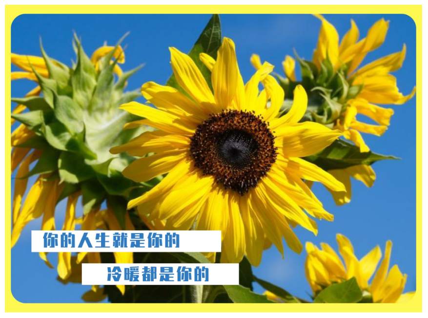 李瑜菲：学会看K线图的意义！