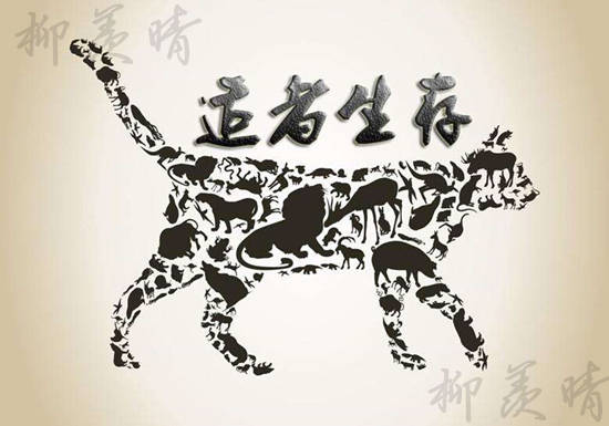 柳羡晴：本周非农即将到来，注意这十点不盈利都难！