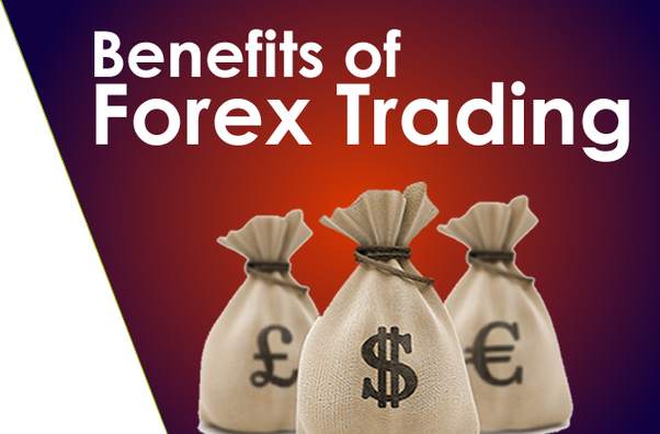 5 Reasons Why You Should Start Forex Trading