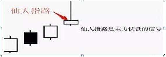 feed-image-0