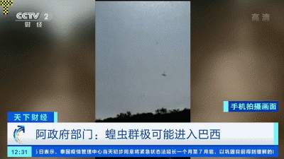 卷土“虫”来！密度惊人！有国家已拉响警报！