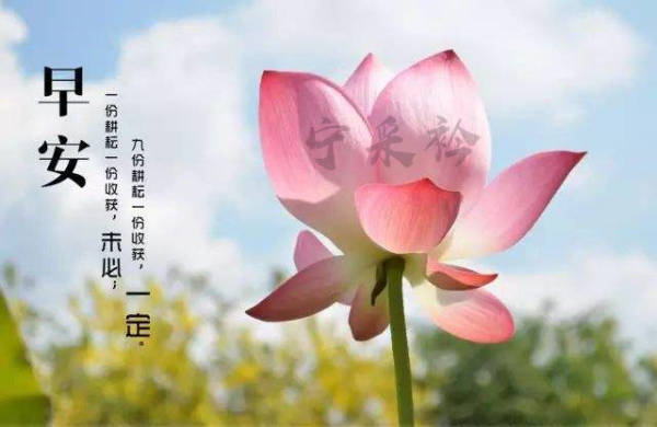 宁采衿：马丁·普林格的趋势交易波峰-波谷演进法
