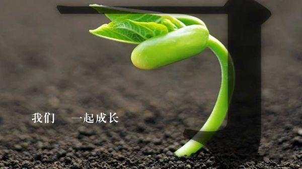 德浩点金：黄金交易中使人成熟的不是岁月，是经历!