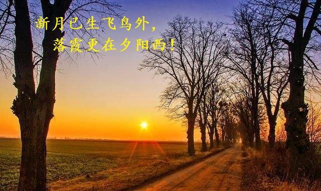 分析师张琅：7月非农拉动避险需求，单边行情正在酝酿
