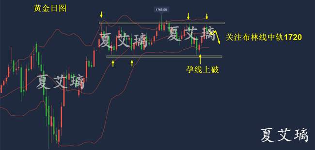 夏艾璃：除了美元全遭抛售？黄金走势风向频变！1720上任看涨