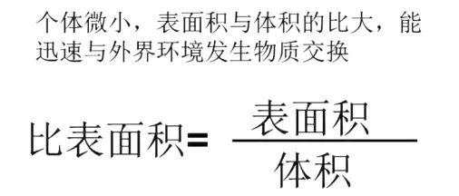 骗子的克星——奥卡姆剃刀：一把真相之刃，让人类看清真相