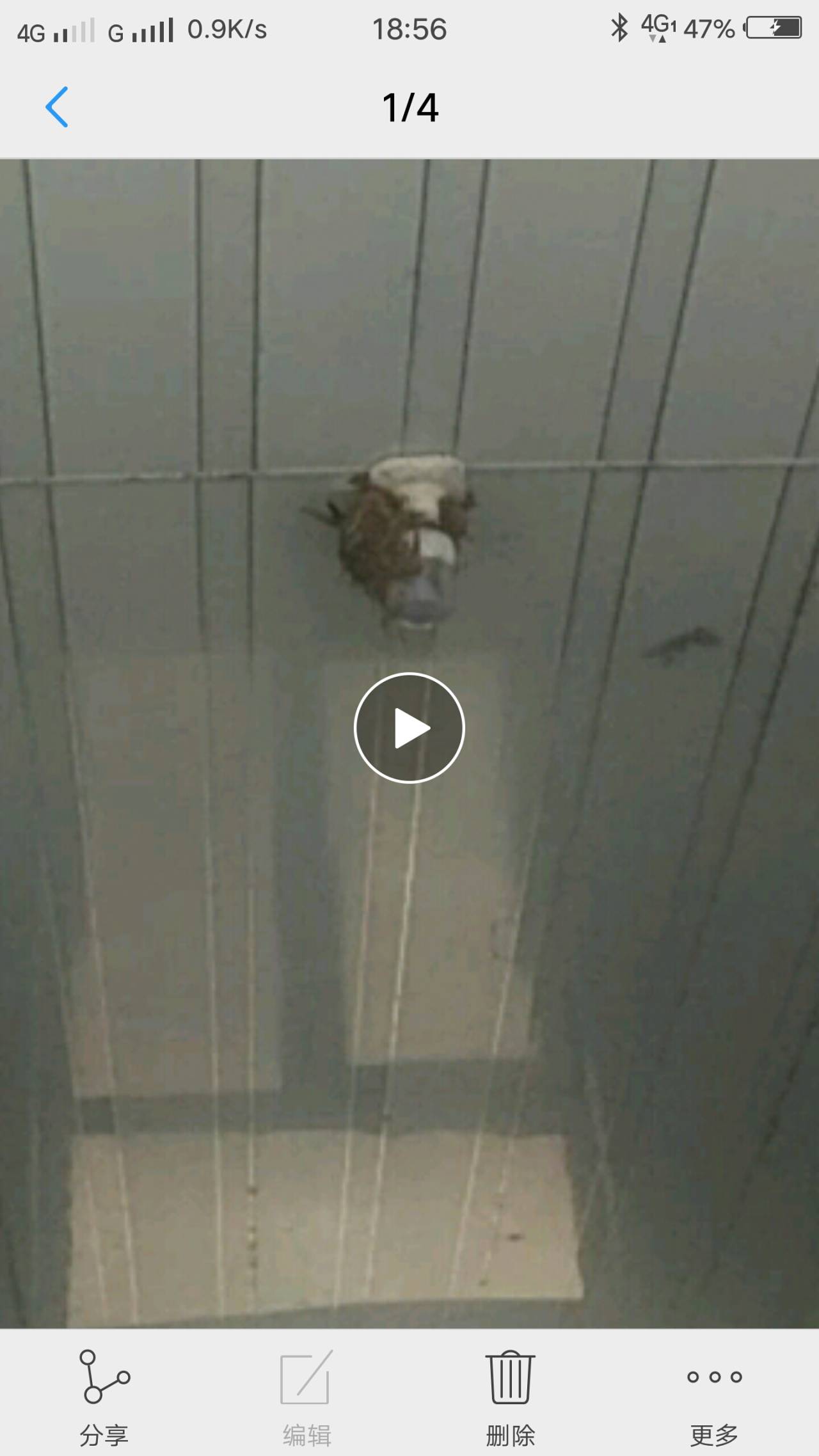 feed-image-0