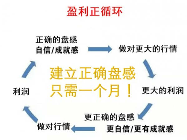 成梦轩：深度分析盈利拿不住亏损死扛致命核心！炒黄金回本并不难