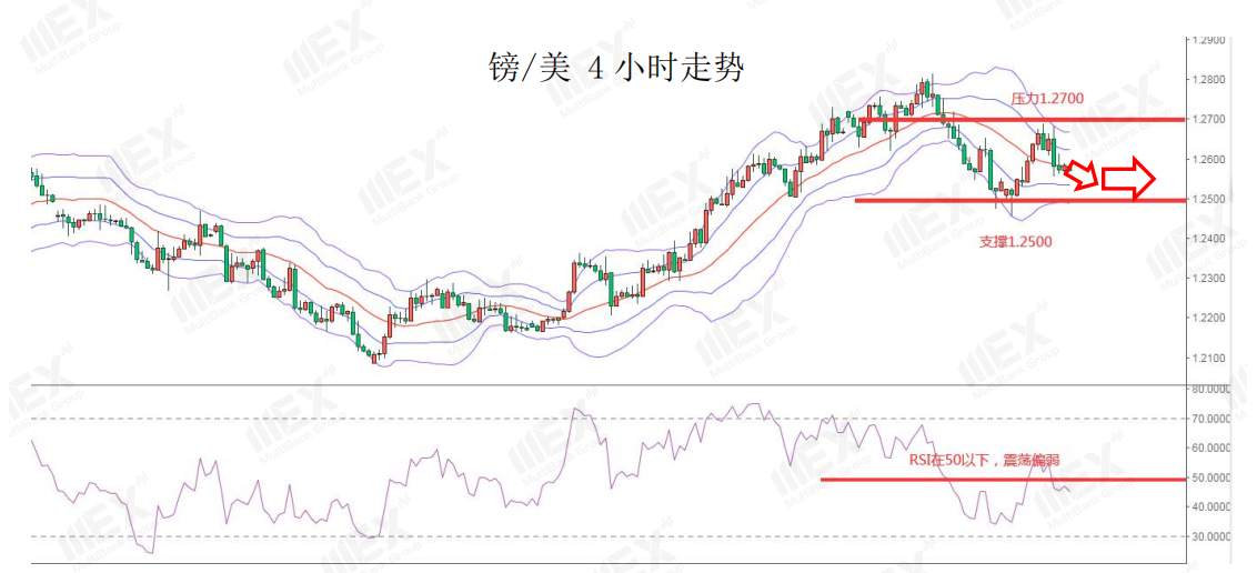MEXGroup：每日快讯丨美元短线企稳，今日重点关注欧洲通胀数据