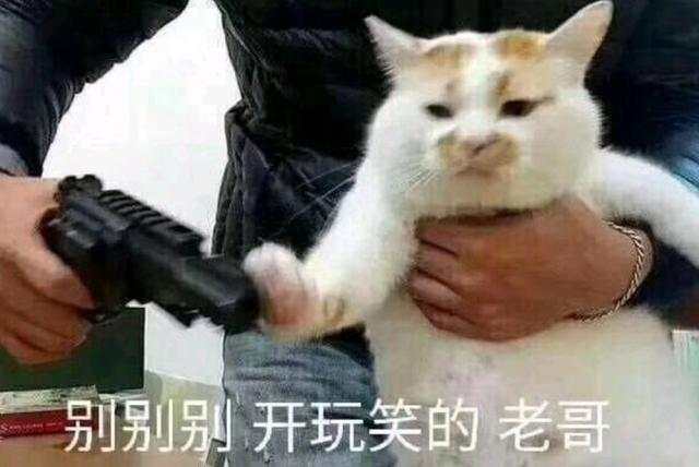 外汇黄金作手 交易新手有哪些学习过程和阶段？