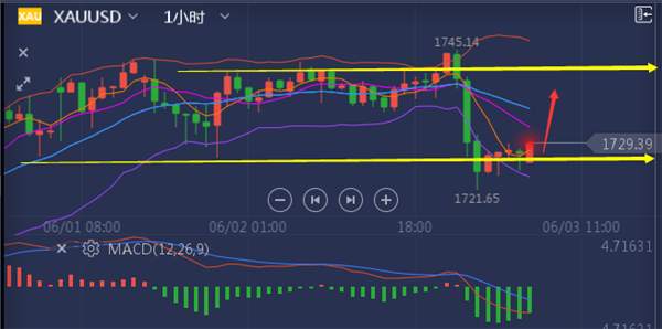 张雅源：6.3黄金为何暴跌？黄金暴跌后还会涨吗？非农成关键