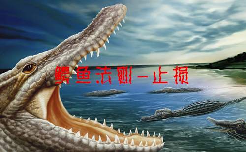 冉茗玉：黄金投资有哪些止损误区，别把瞎折腾当成纠正改变
