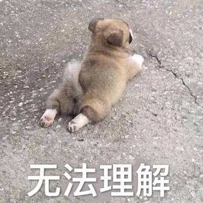 外汇黄金作手 交易新手有哪些学习过程和阶段？