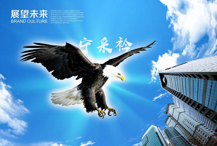 宁采衿：让你一直亏钱的10种认知偏见（叁）