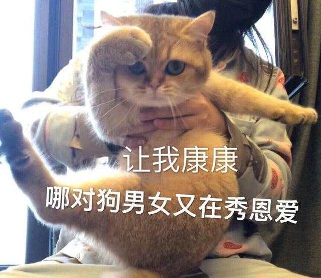外汇黄金作手 交易新手有哪些学习过程和阶段？
