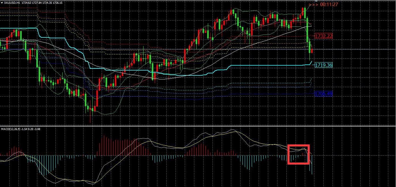 今天黄金xauusd开门腰斩！基本面于技术面哪个重要？