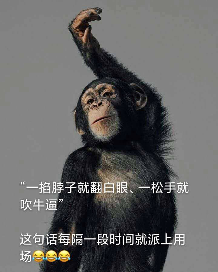 被逼的鲍威尔
