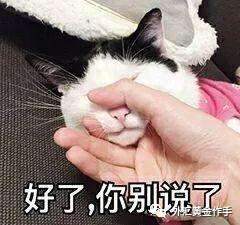 外汇黄金作手 还扛单吗，亲，爆仓的那种？