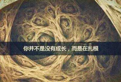 从竹子的成长过程联想到投资的历程