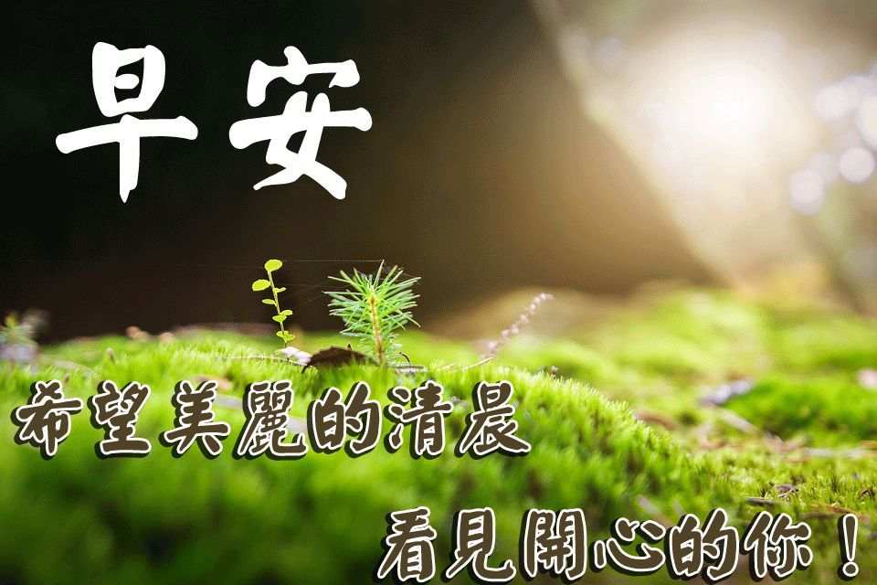 夏钧姗：6.16目标看空不变，金价回光不过是返照